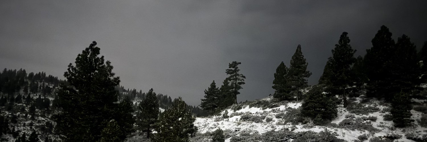 Shane Ashland banner