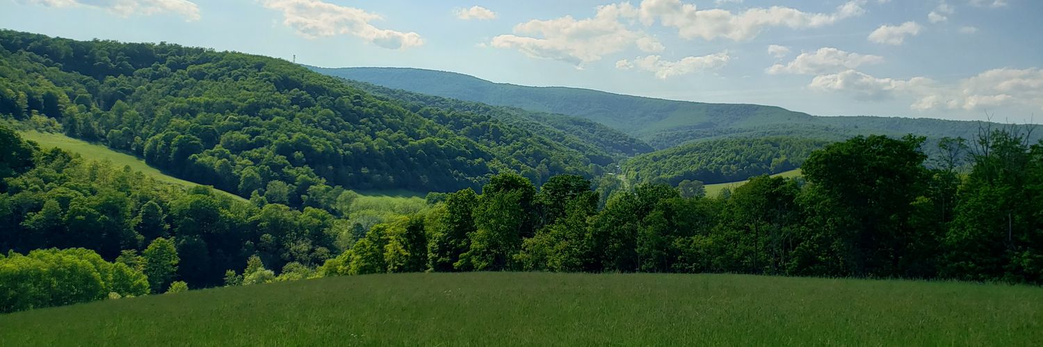 Silent Majority banner