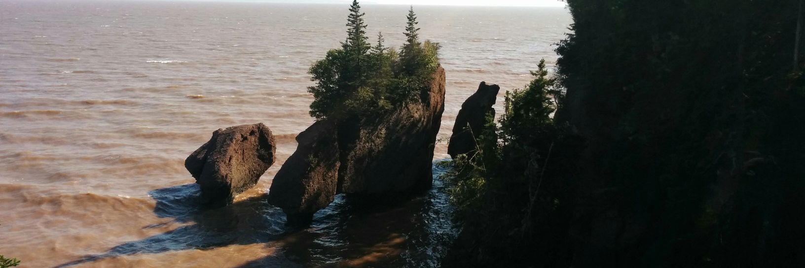 meglpark's profile banner image