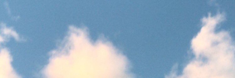 elobocchi's profile banner image
