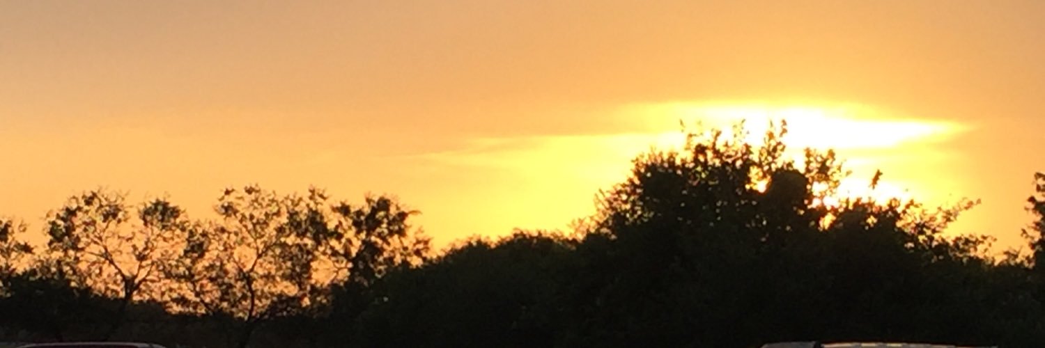 ChapaIris's profile banner image
