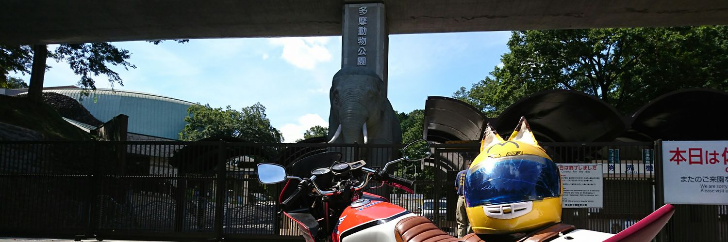 サーバルメット banner