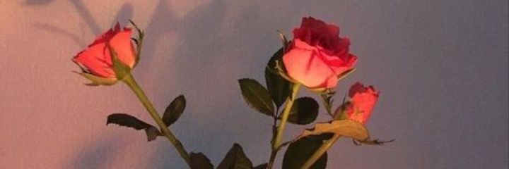 Isa banner