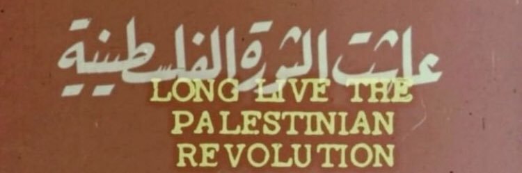 ɐɟɐ⅄ 🇵🇸 banner