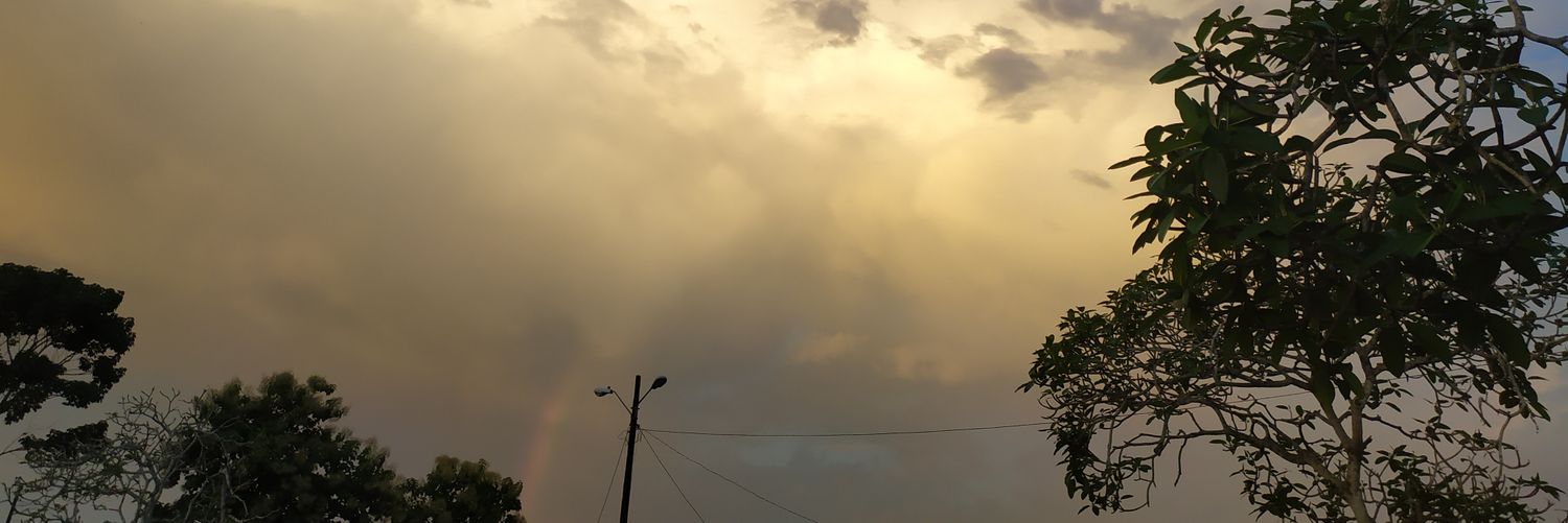 rogerecl's profile banner image
