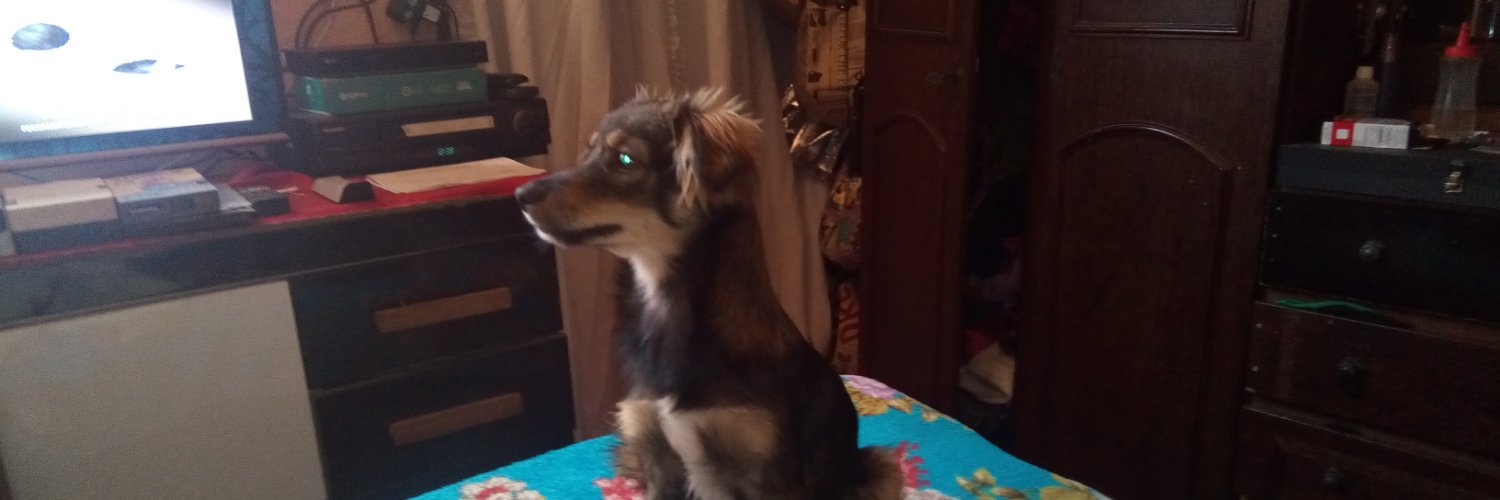 VitorZero3UM🐕🐶 banner