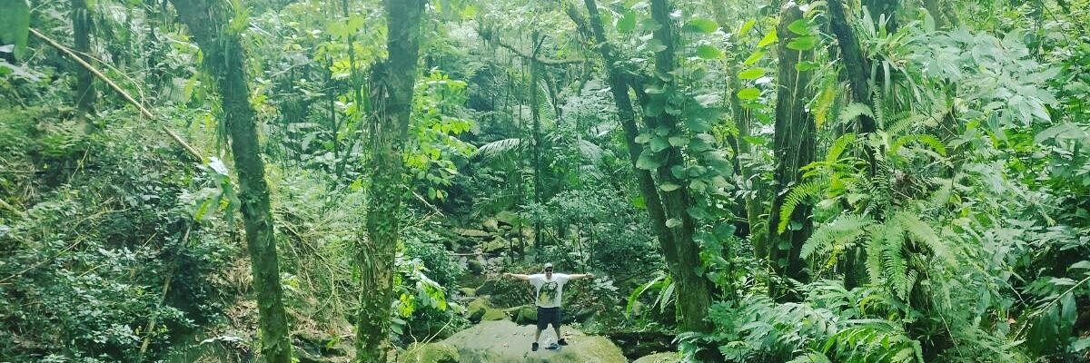 P2NPoison's profile banner image