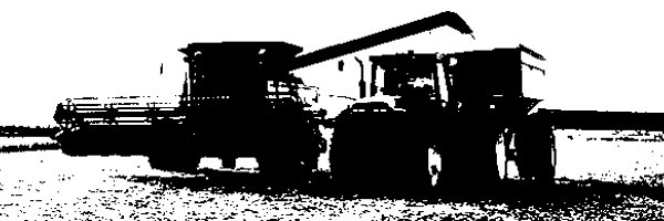 coufal_e's profile banner image