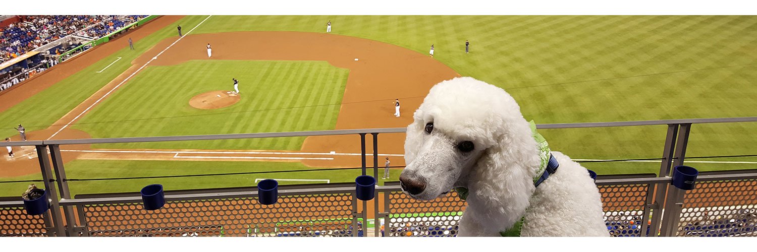 Tribute to BaseballPoodle banner