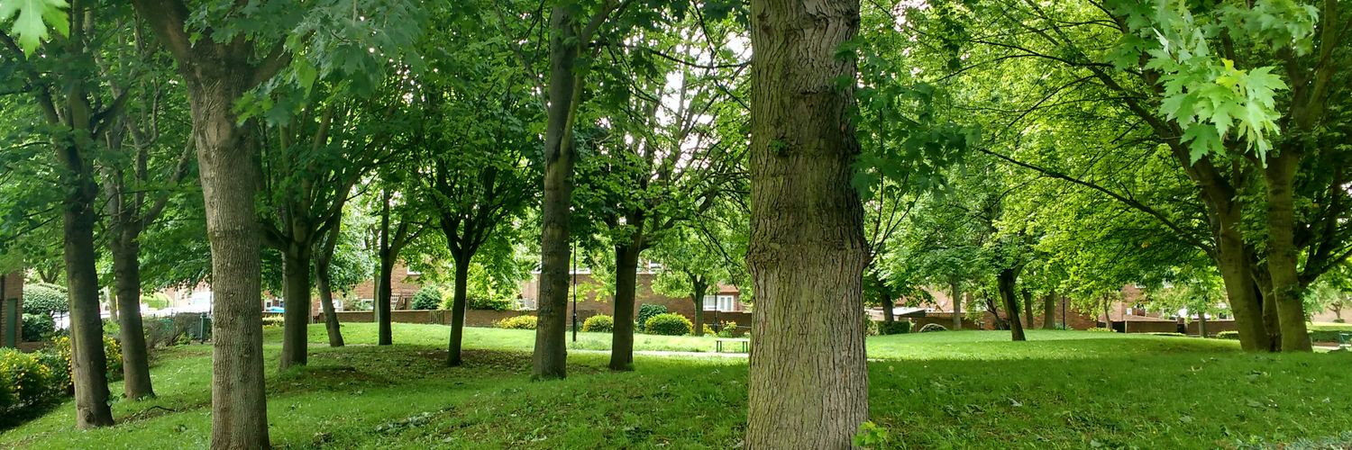Ewart Community Hall banner