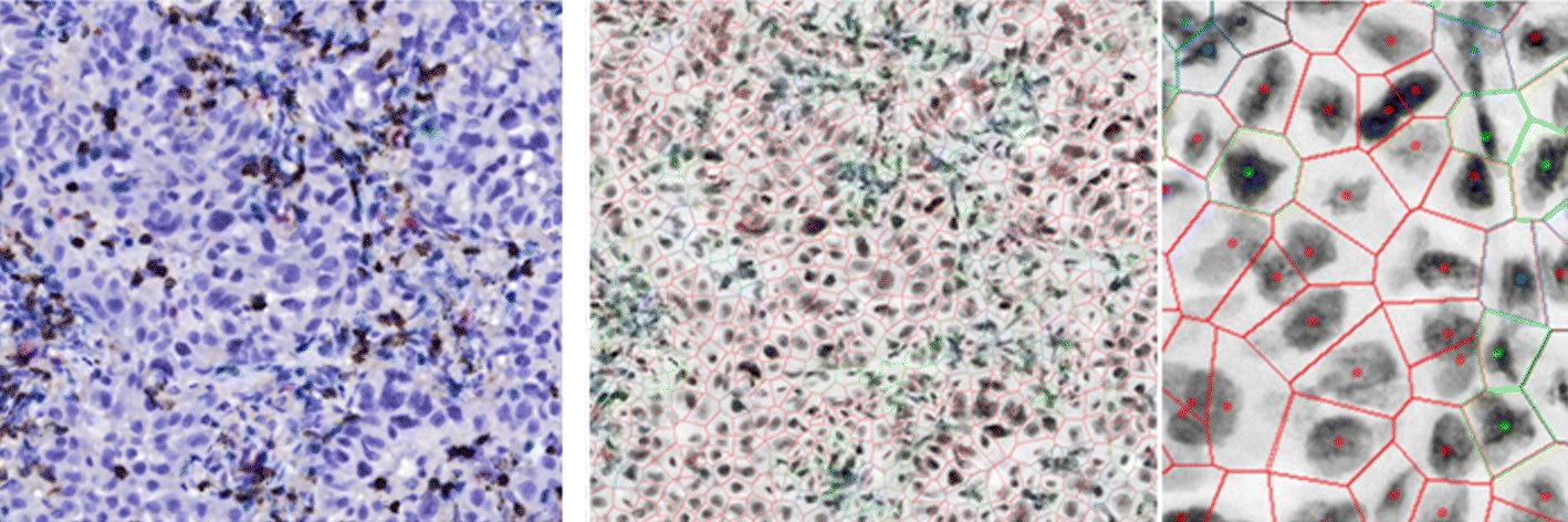 Lam Lab banner