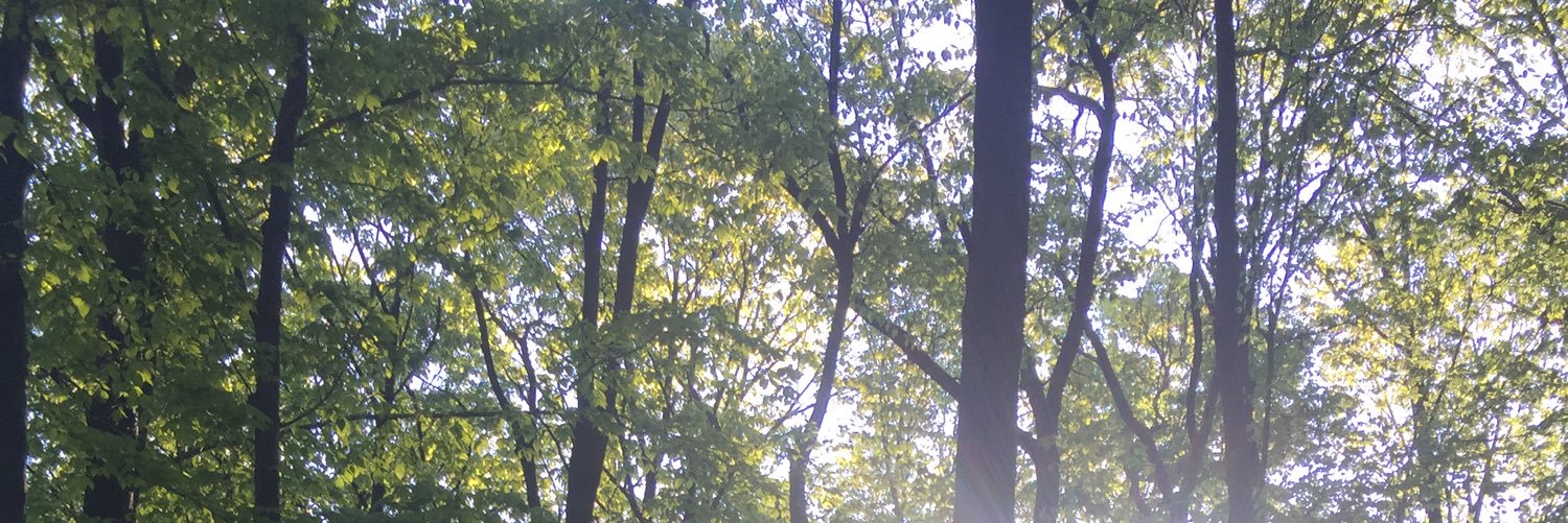 Elizabeth T Henry banner