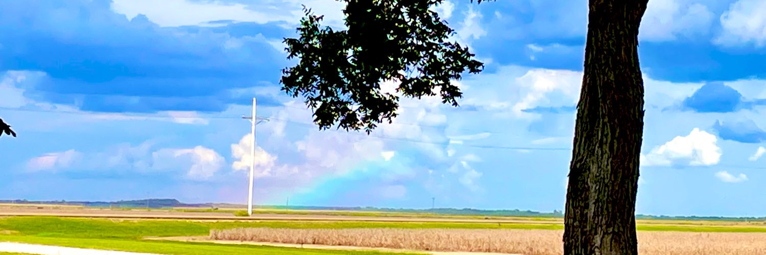 Connie Lancaster ♏️🏖 banner