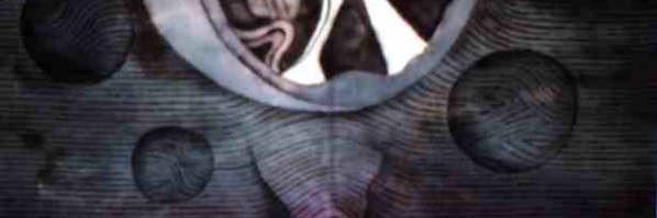 ujihitox's profile banner image