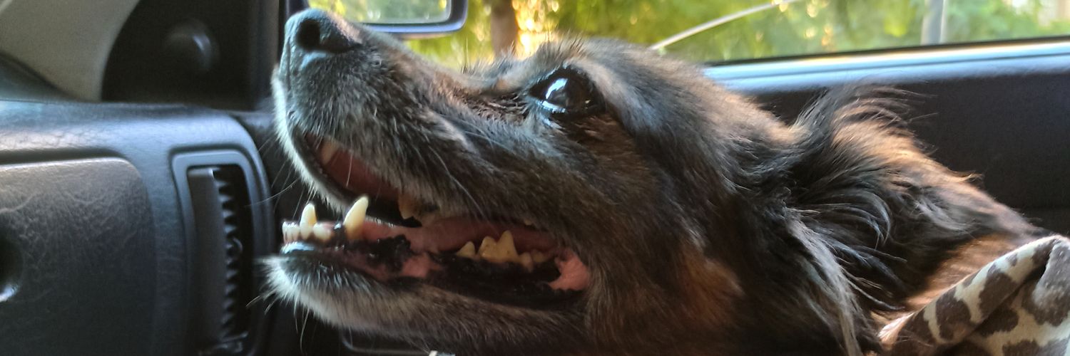 facuuromay's profile banner image