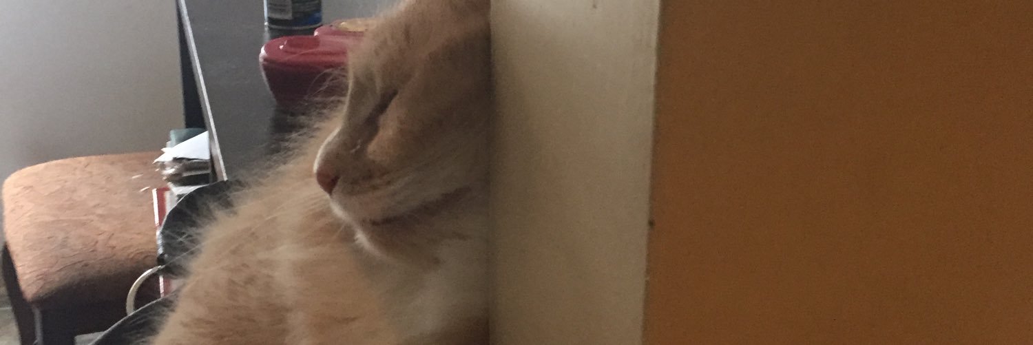LuTheFluffer's profile banner image