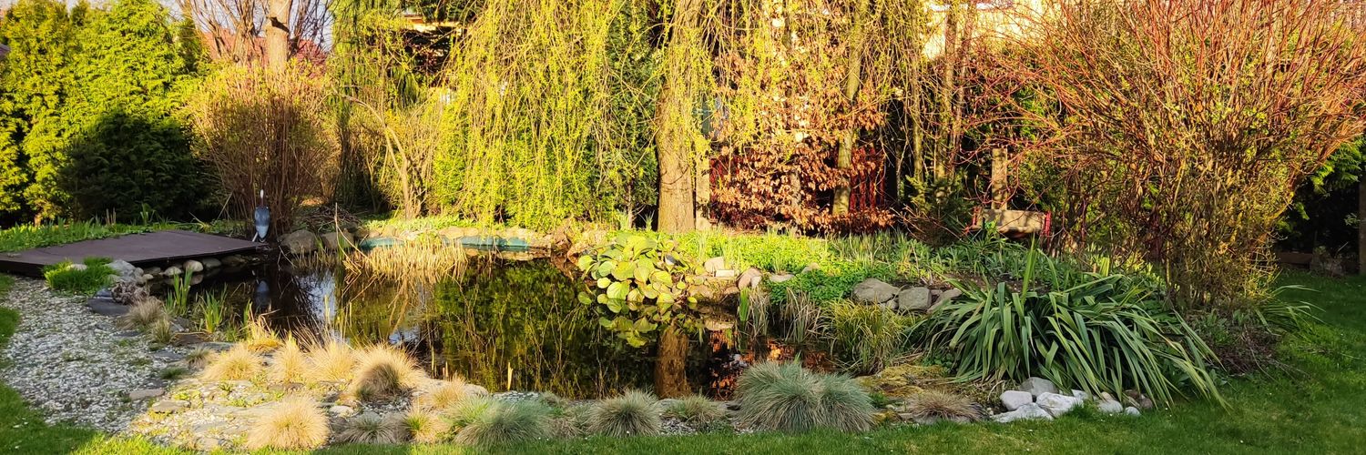 Agnieszka Bilska banner