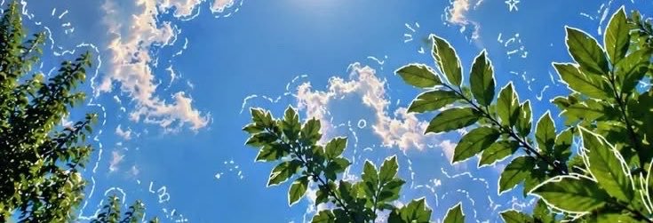 niormoonn's profile banner image