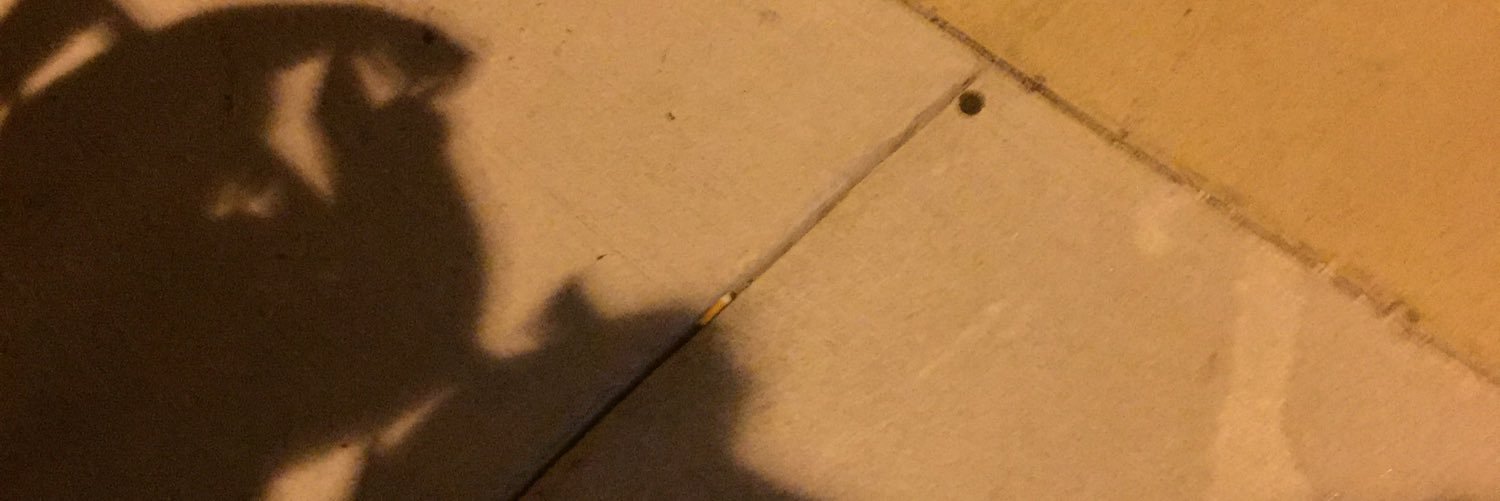 sdermer1's profile banner image