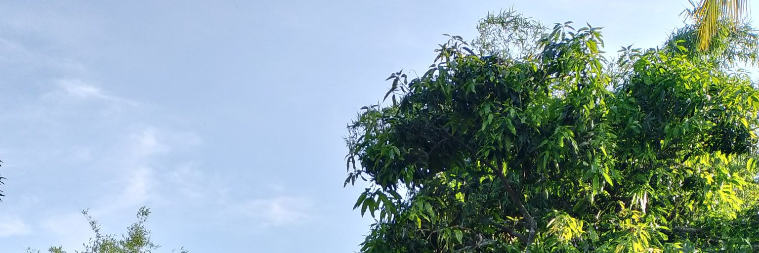 arogdn's profile banner image