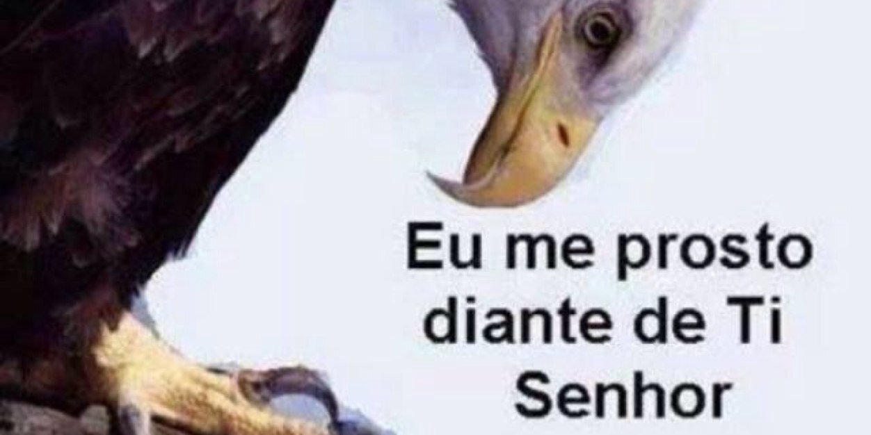 dracelmataveira's profile banner image