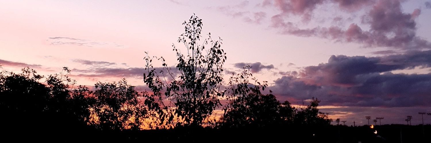 solverduzco's profile banner image