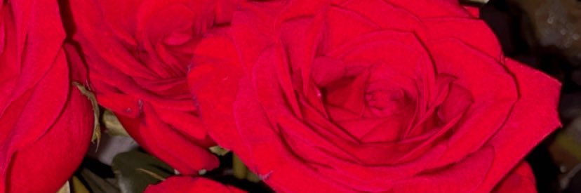 Andreagarfdz's profile banner image