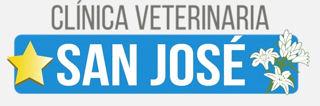 VetSnJose's profile banner image