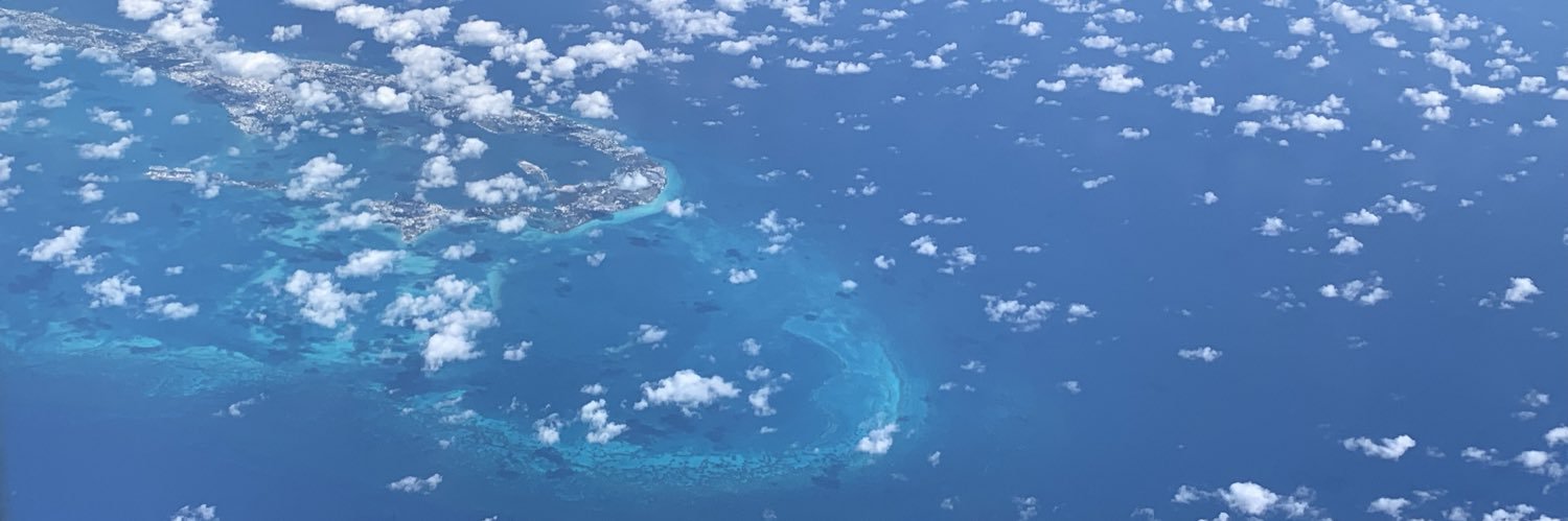 David Is A King banner