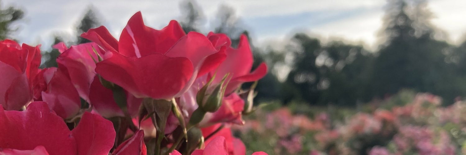 _cjphan's profile banner image