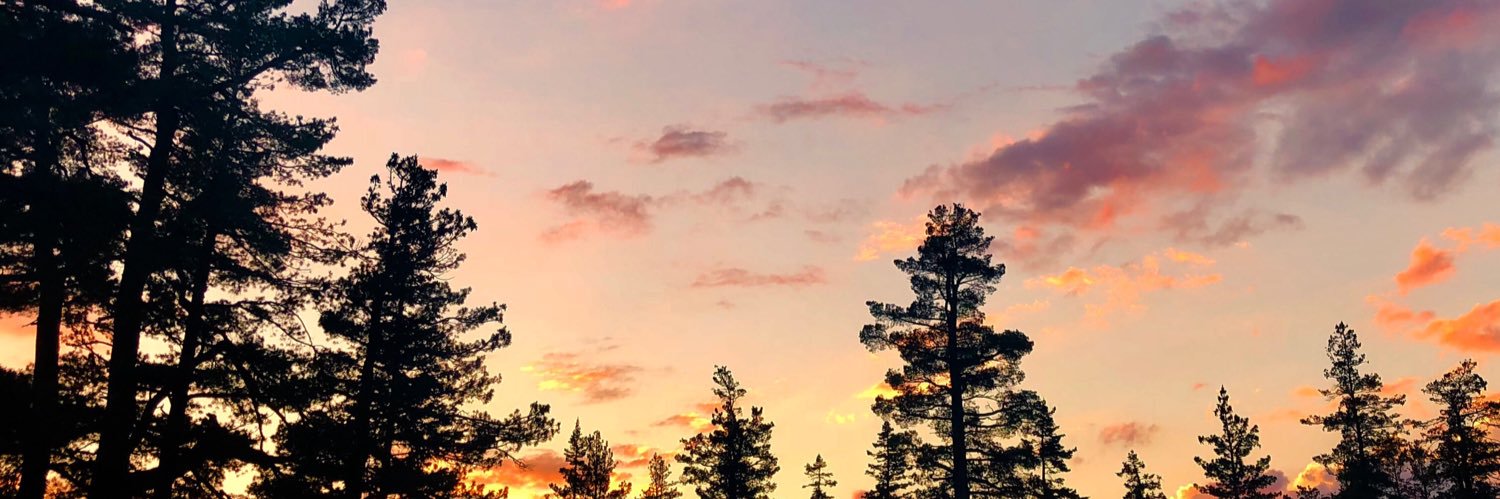 fabiofierce's profile banner image