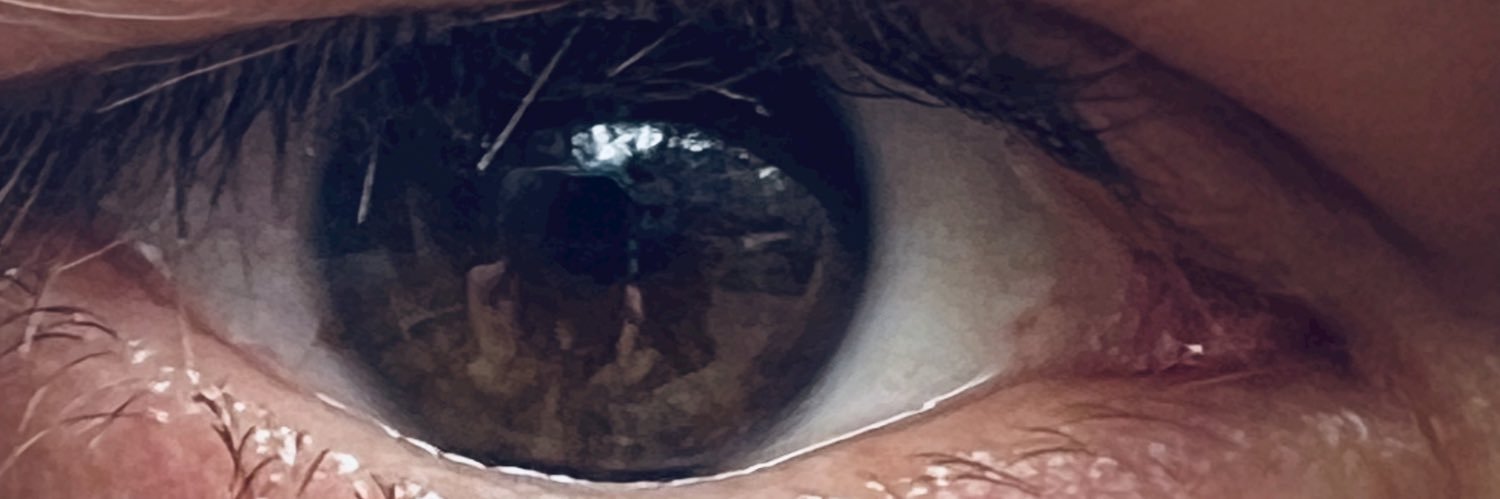 Ozbatros banner
