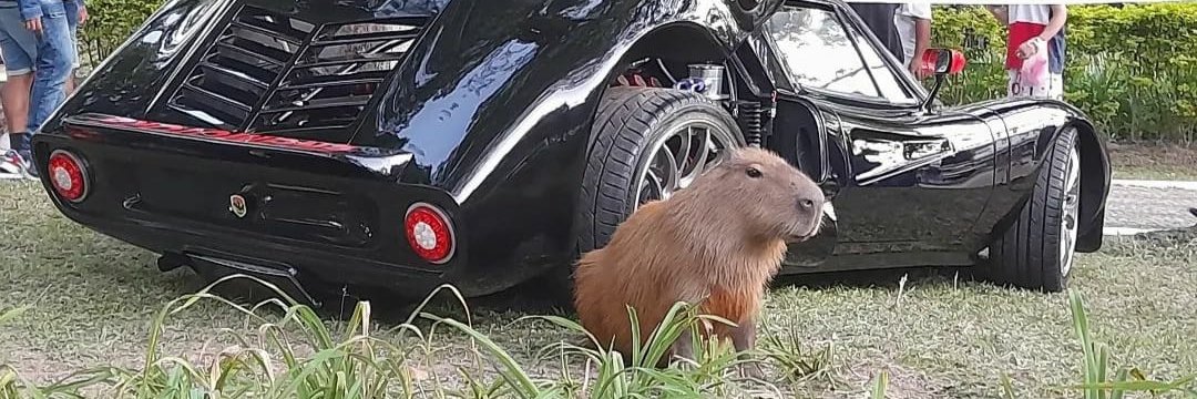 Seventh Element banner