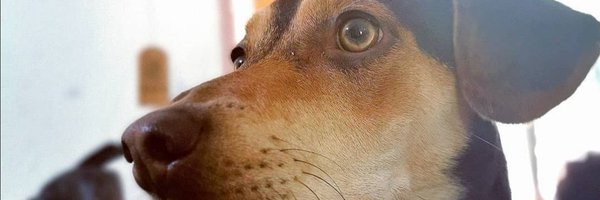 Chingon_SC Profile Banner