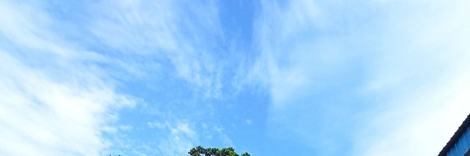 rishakwon's profile banner image