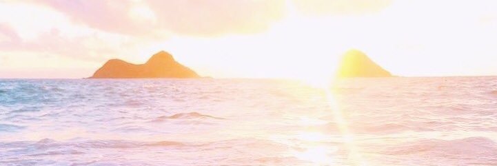 Lisa Opie banner