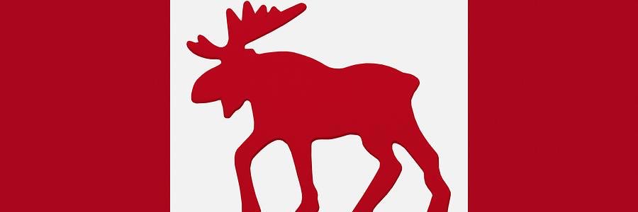projectmoose150's profile banner image