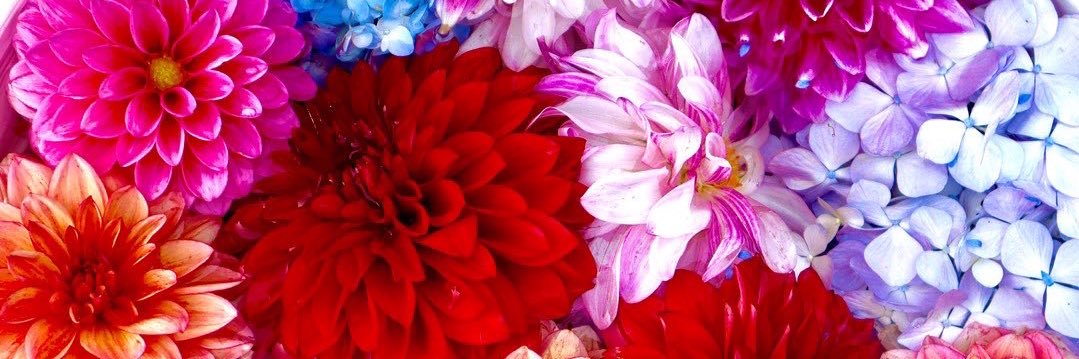 K8415Y's profile banner image