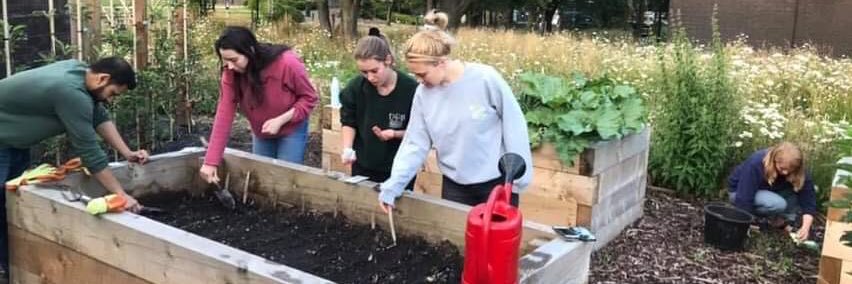 Grow With Joe banner