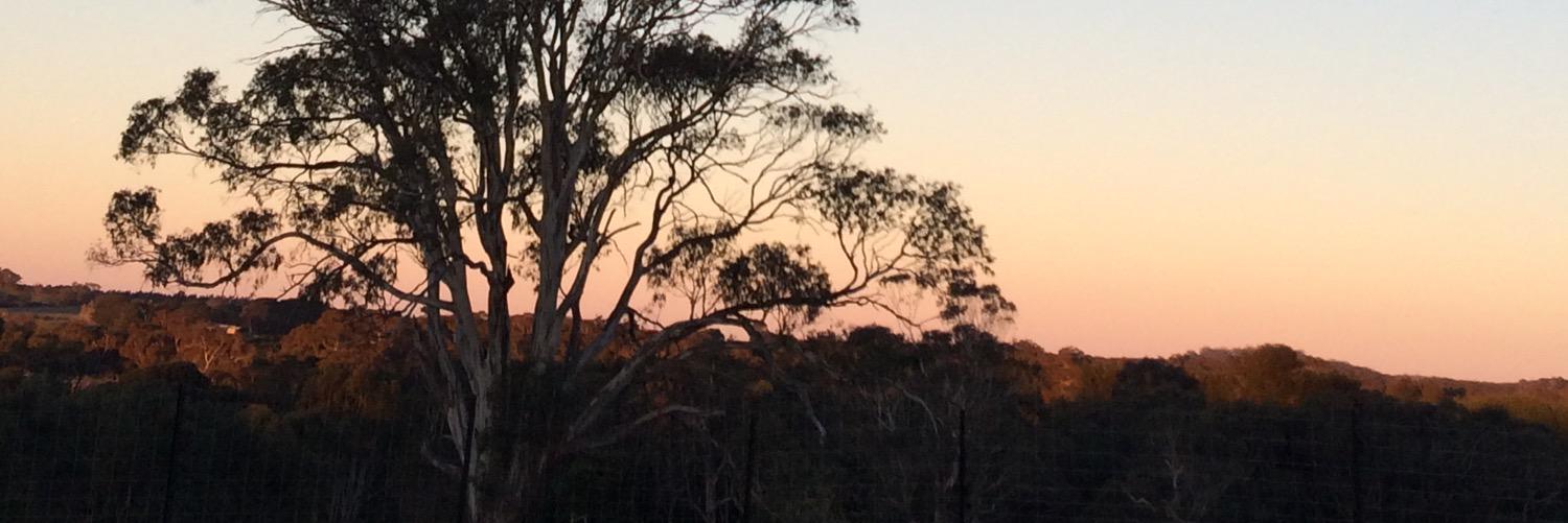 JessKOwens's profile banner image