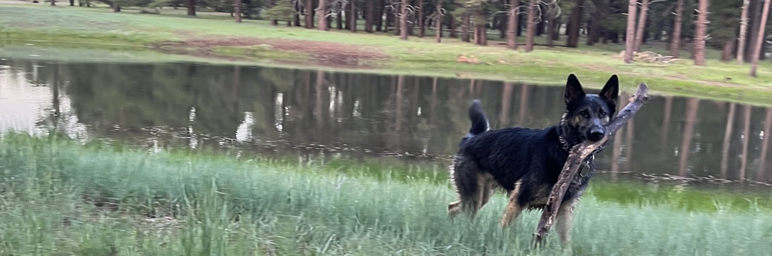 Blerzy's profile banner image