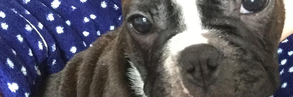 amysnye's profile banner image