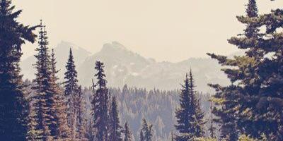 MaceyDonathan's profile banner image