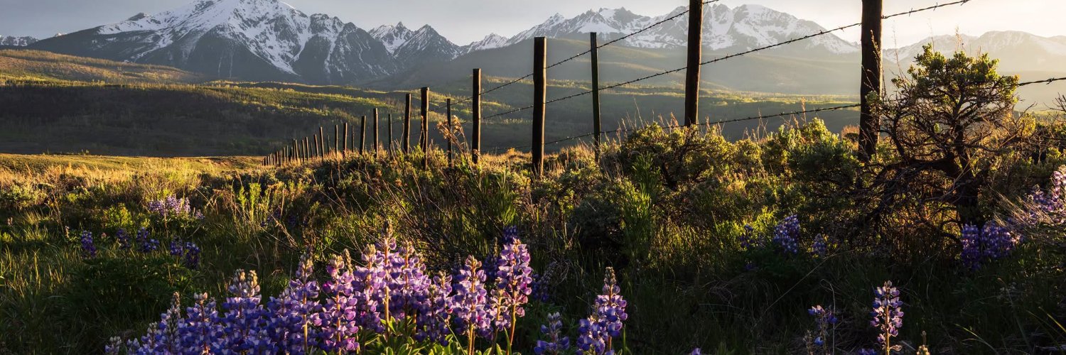 DenverChannel's profile banner image