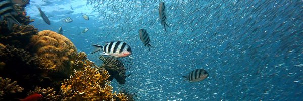 MAXDIVEBali1 Profile Banner