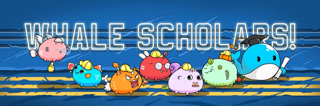 Ressa | SW 🐳 banner