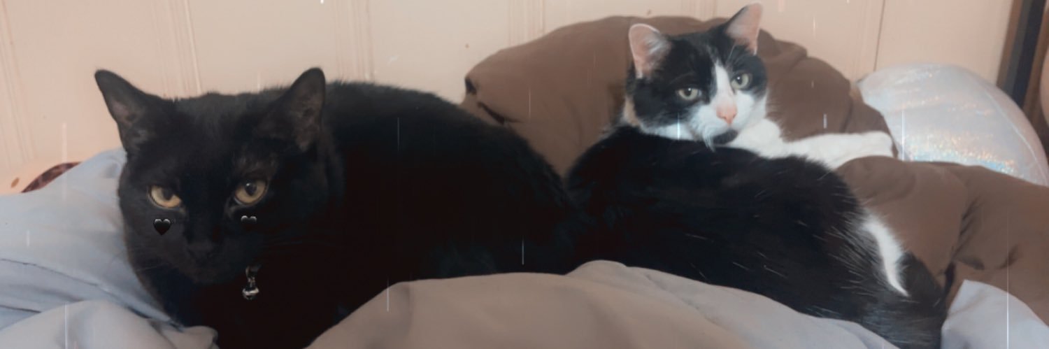 PaigeeLestrange's profile banner image