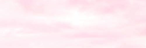 serena_burro's profile banner image