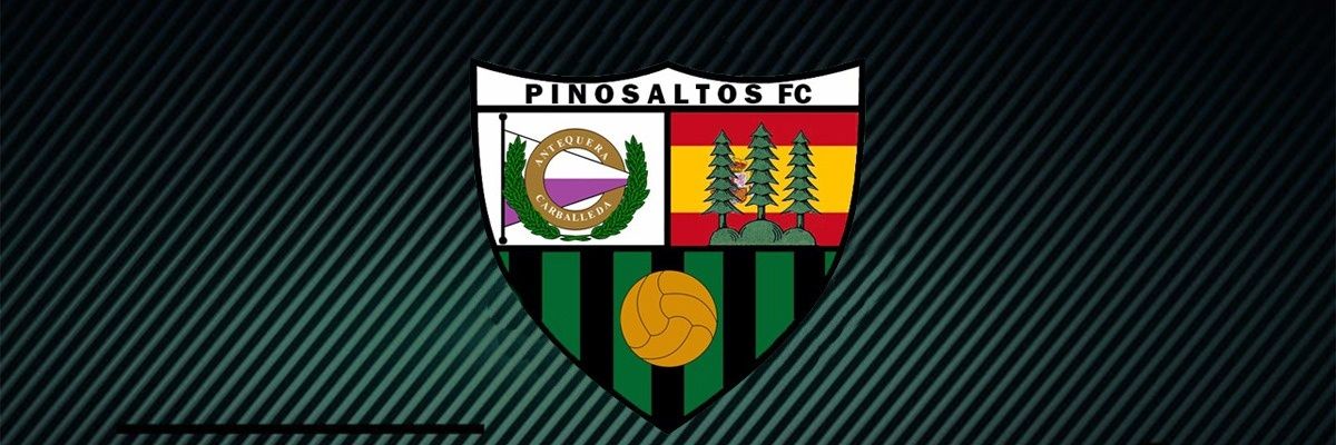 PinosaltosFC's profile banner image