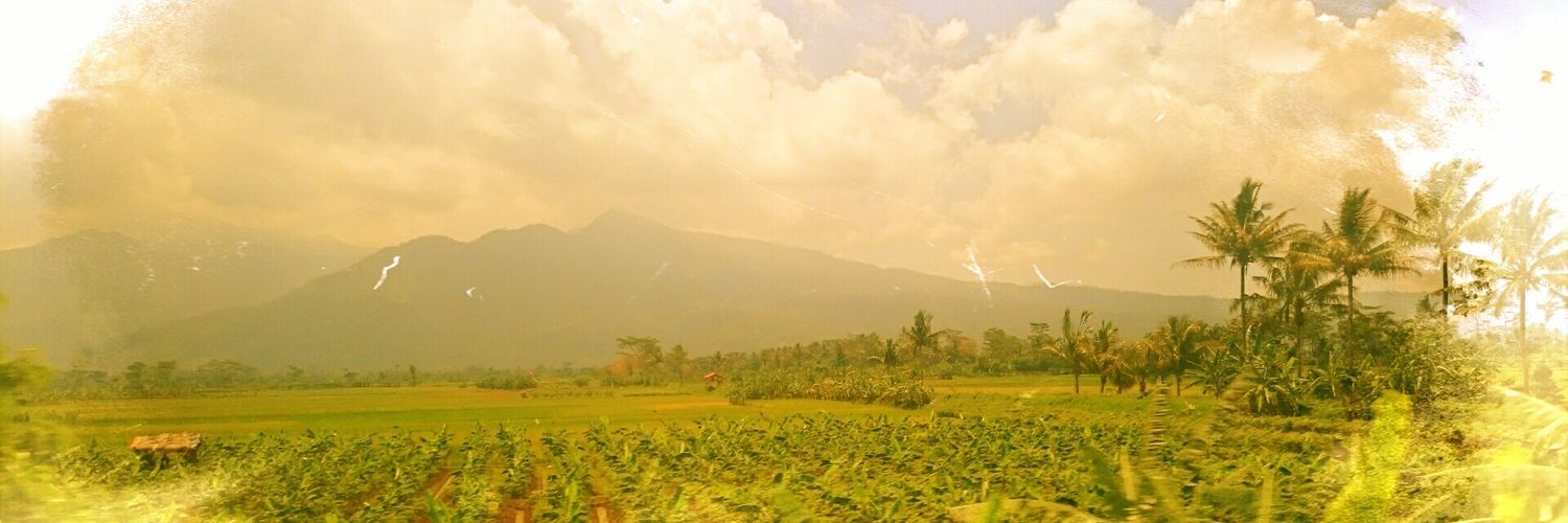 eugenehadianto's profile banner image